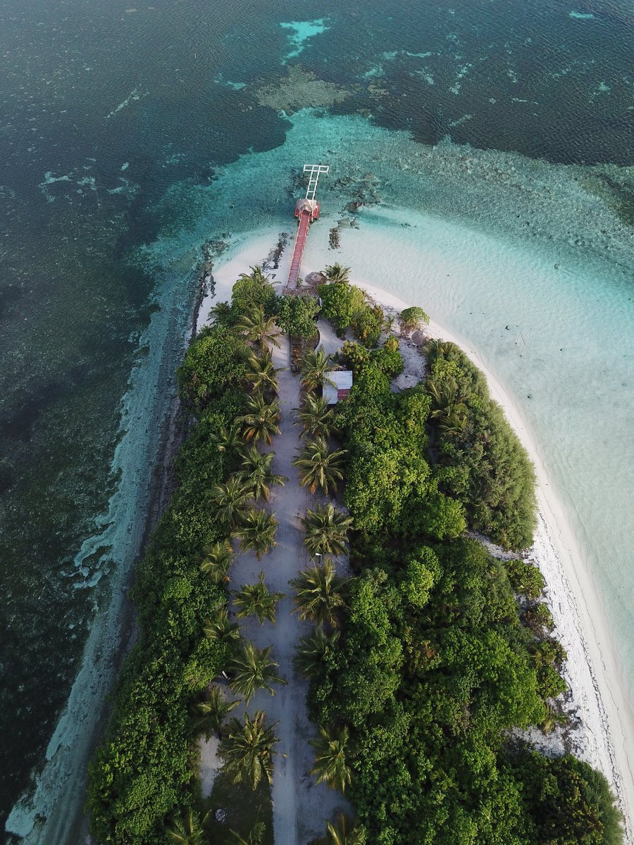 Tropical state of mind 🏝🏖
<a href="/mundoo/">Vicki</a> <a href="/adamnasif7/">Adam Nasif</a> <a href="/VisitLaamuAtoll/">Visit Laamu Atoll</a> <a href="/visitmaldives/">Visit Maldives</a> <a href="/Laamutour/">Laamu Tour</a>
#laamaseelaamu #unlimitedlaamu 
#mundoo