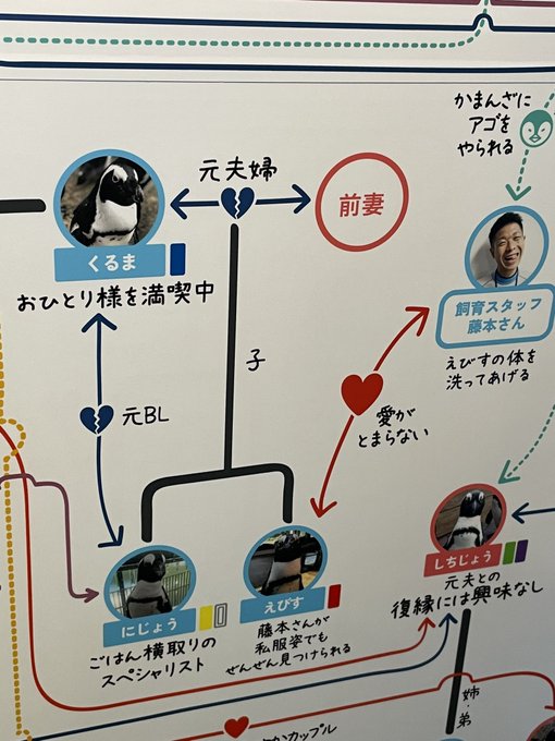 ペンギンの世界って大変だし飼育員さんも個性爆発してる 