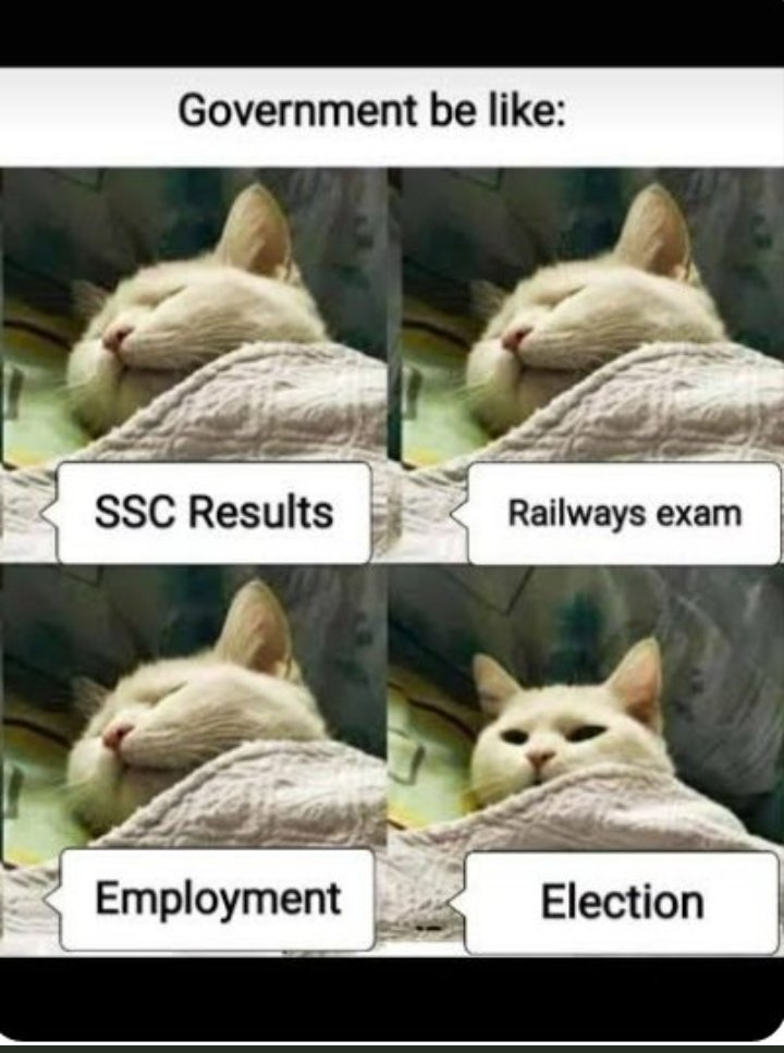 MAHENDRAMAHIA2's tweet photo. Nothing a lots only I want to plz give exam calendar of railway exam group D
#railway_groupd_examdate 
#railway_groupd_examdate 
#railway_groupd_examdate https://t.co/LnwIGTwp3t