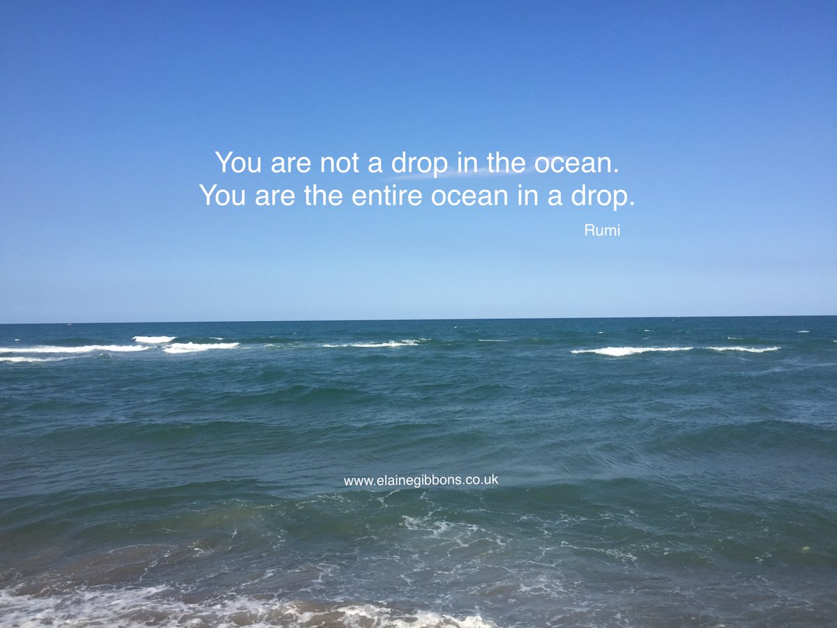 elaineg7's tweet photo. You are not a drop in the ocean. You are the entire ocean in a drop #spirituality https://t.co/SvyBQAs8vB