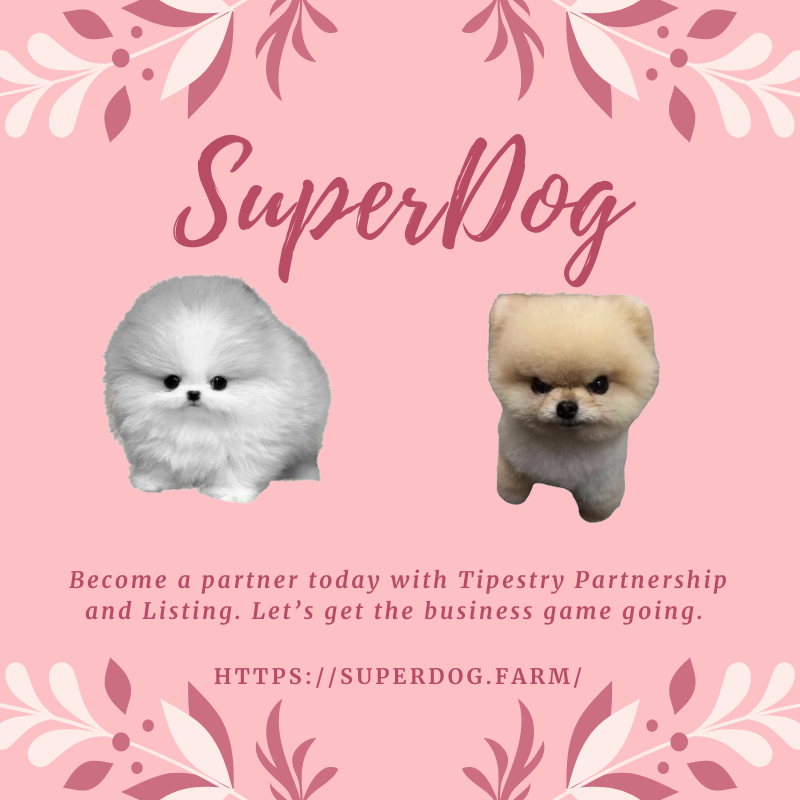 PomSuperdog's tweet photo. Become a partner today with Tipestry Partnership and Listing. Let’s get the business game going. Visit https://t.co/Y9mTVa9ZfD
#superdog #POM #cryptocurrency #bitcoin #crypto #blockchain #btc #forex #money #ethereum #trading #bitcoinmining #investment https://t.co/IzdqwNwmr2