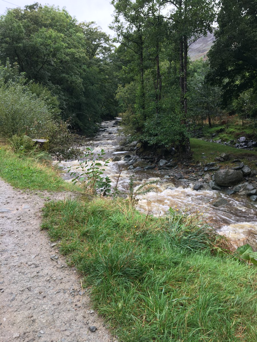 dadslibrary's tweet photo. After an unbelievably dry summer it's good to see and hear the water roaring down the beck again. #normalserviceisresumed #lakedistrictweather https://t.co/6RuauHSLIN