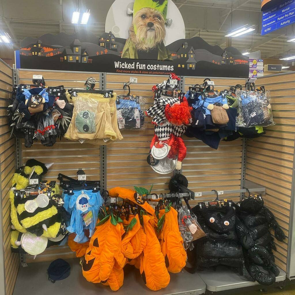 Top Tweets For ハロウィン犬 Instalker