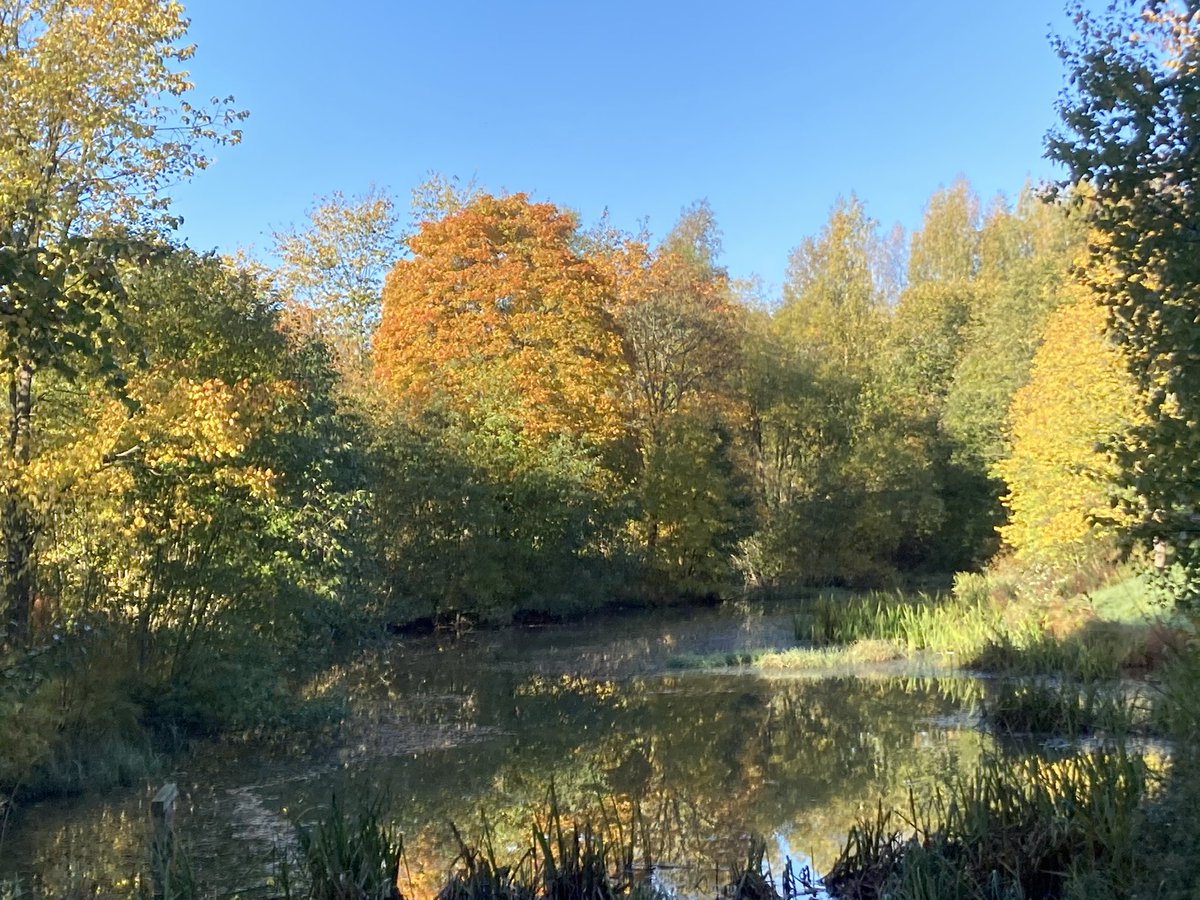 Aamulenkin maisemat, tulee hieno päivä!