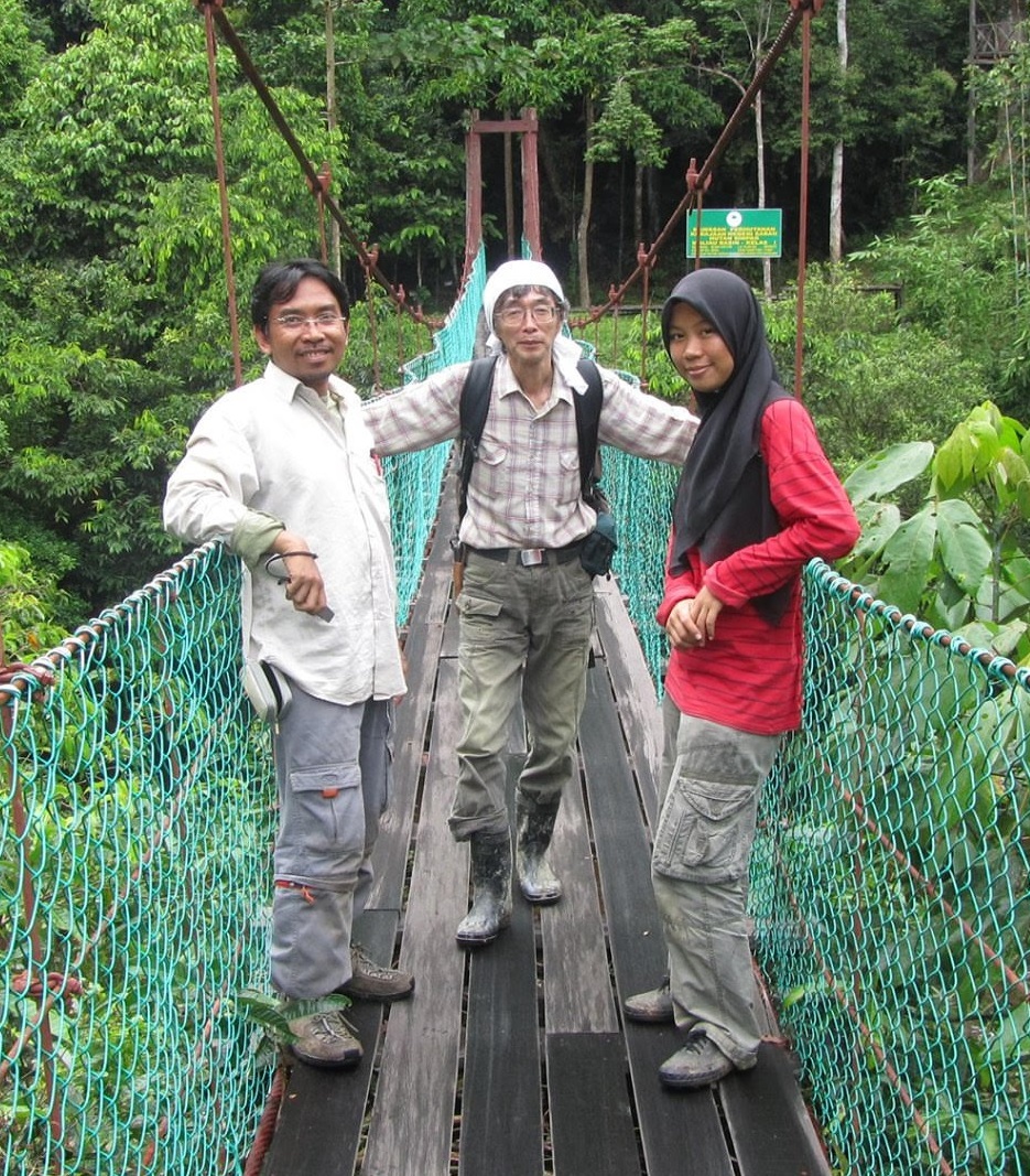 Asian Myrmecology tweet media
