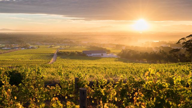 Steenberg vineyards produces some of the finest award-winning Sauvignon Blanc and Méthode Cap Classique in South Africa. bit.ly/3EM9WFQ
@SteenbergWines @manleysocial_
#Steenbergvineyards #awardwinningwines