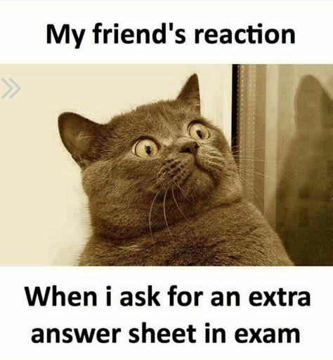 cheap_writing's tweet photo. #cheappaperwriting #cheappaperwriting_memes #edu #college #essay https://t.co/ipKGtbBI1l