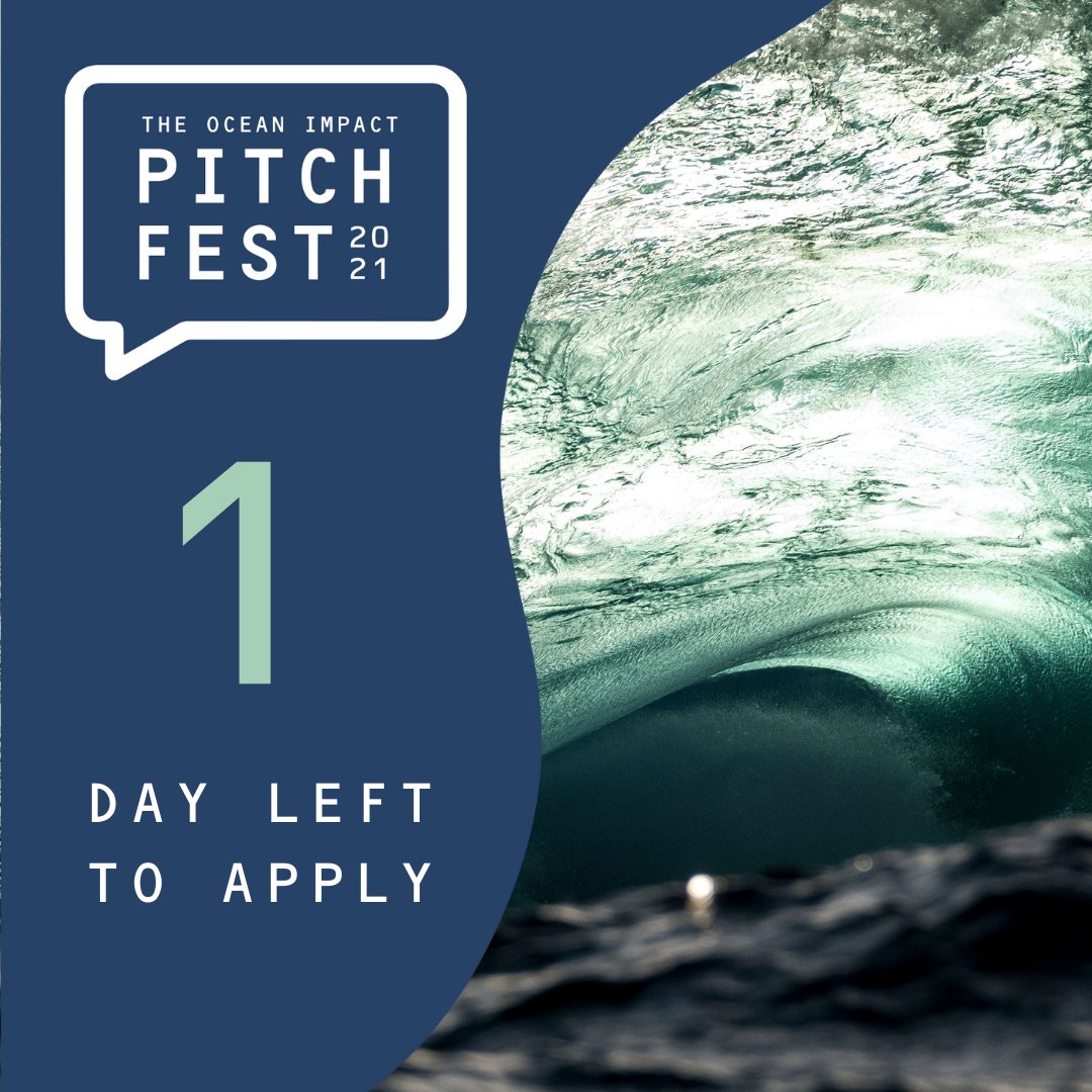 oceanimpactorg's tweet photo. The Ocean Impact Pitchfest 2021 closes tomorrow - 28th September 2021. This is your final chance to apply to accelerate your #oceanimpact

We wish all applicants the best of luck! 

https://t.co/Uj0jArnA0O https://t.co/4ys7cuZRlr