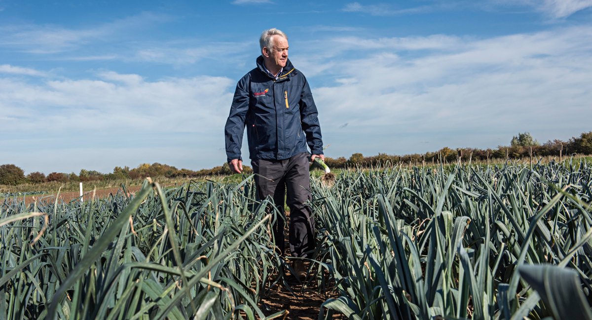 Elsomsseeds's tweet photo. The Elsoms/@BejoBenelux second early #leek trial is thriving!

Chris and his team assess leek trials every year for disease, quality and yield. View our leek range: https://t.co/q2b5Uyxott

#vegetabletrials #seedtrials https://t.co/P9wULnNSGK