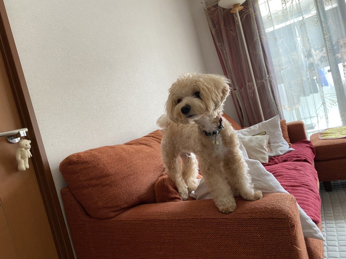 生理痛 Pic Twitter Com Or Twitpic Com Or Flickr Com Lang Ja Twitter Search