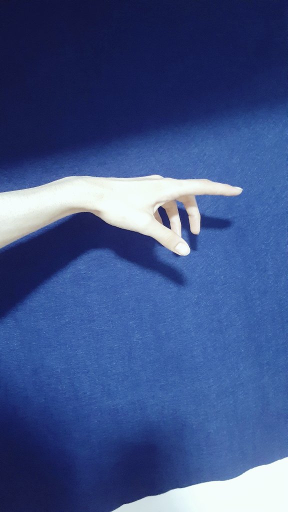 꽃 tweet media