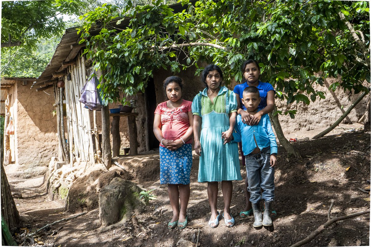 📢Las poblaciones más pobres y más vulnerables son las que primero sufren los desastres provocados por el cambio climático. Cada catástrofe hunde aún más a estas personas en la pobreza y el hambre. #Plántate 🤚 ante la desigualdad que provoca el cambio climático.