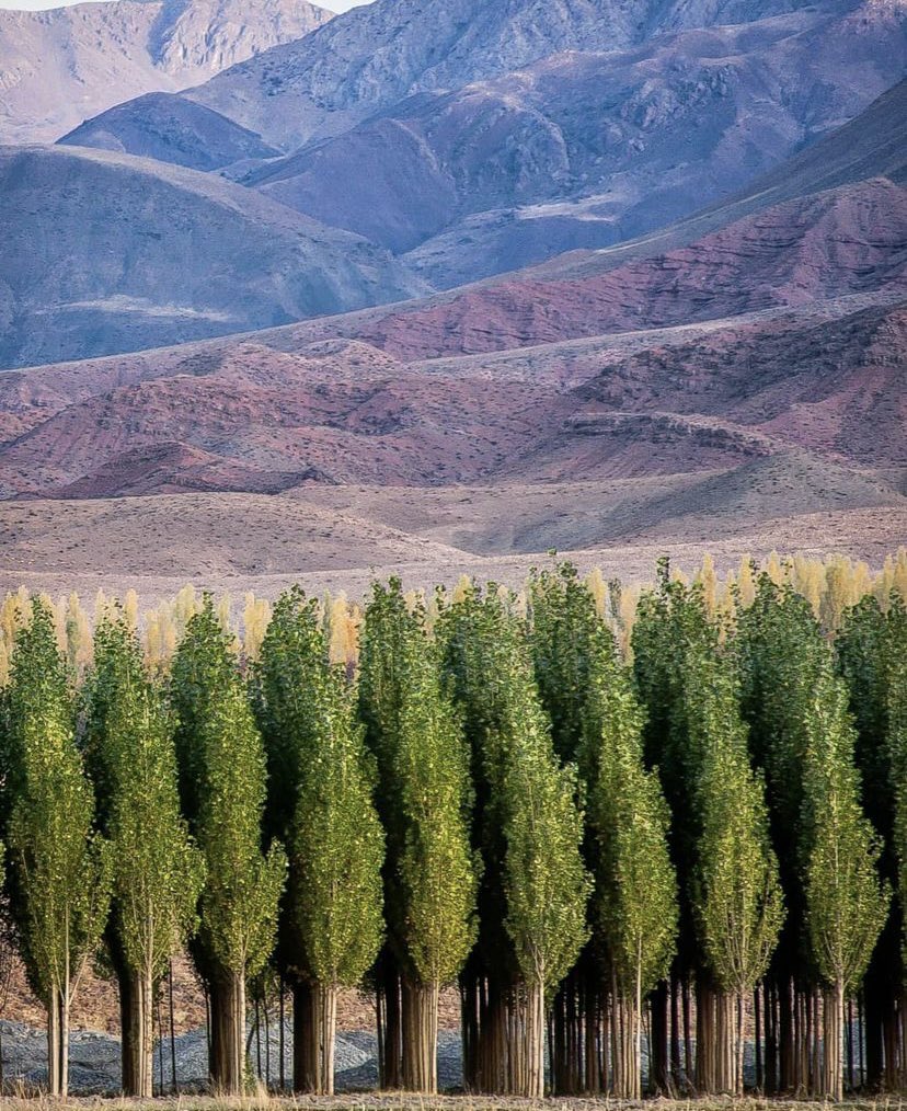 Iran_Style's tweet photo. #Neyshabur’s bold countryside! 

Photo credit: DrSaeed549

#environment #nature #IranStyle https://t.co/71jSv6tDvn