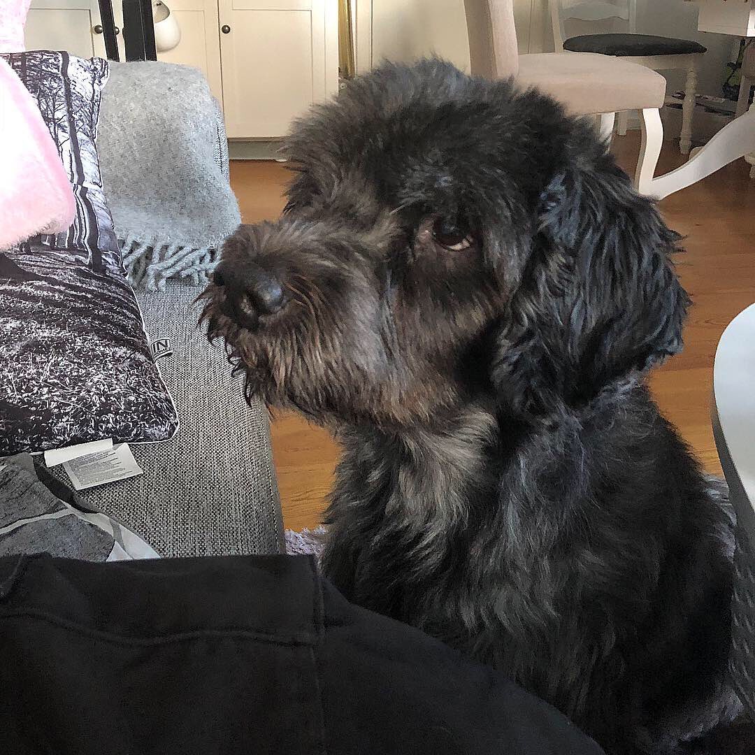 Daddy Trash tweet media