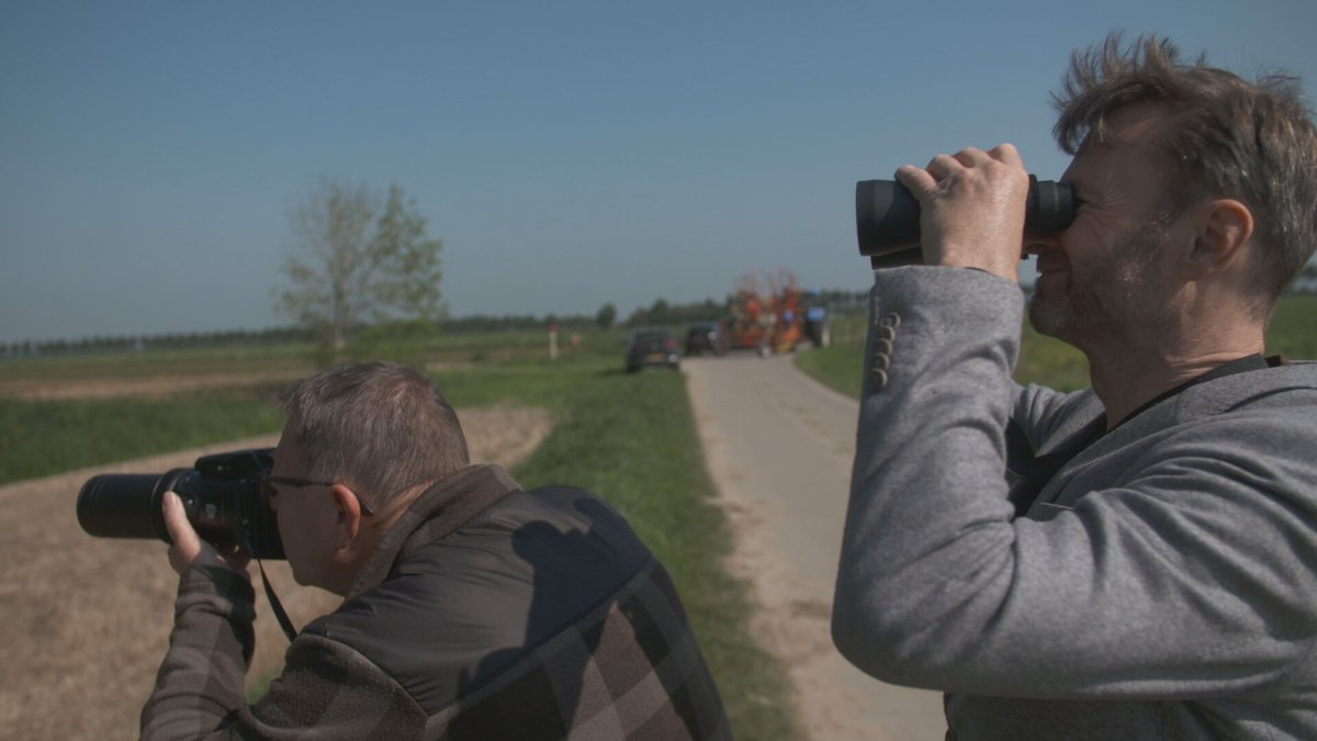pointer_kroncrv's tweet photo. Na de reclame: #Pointer over wildbeheer. Waarom moet een hele roedel damherten worden afgeschoten? Wie beslist dat? Kijk straks naar @NPO2 en twitter mee! https://t.co/Qv2ZH8yB99