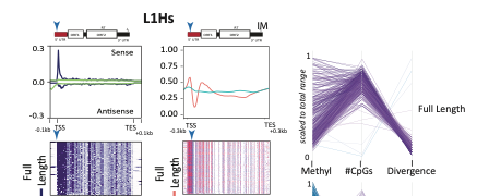 SystBio_UU's tweet photo. This Wednesday 29/9 @ 15:30 CEST we have an extra seminar at #SystBioSeminar. Prof. Rachel O'Neill @roneilllab will be @valentina_peona opponent this Friday.
Title: Weird Genomes: using #genomics to study chromosome and species evolution
PM for zoom link. https://t.co/r2zslxzofD