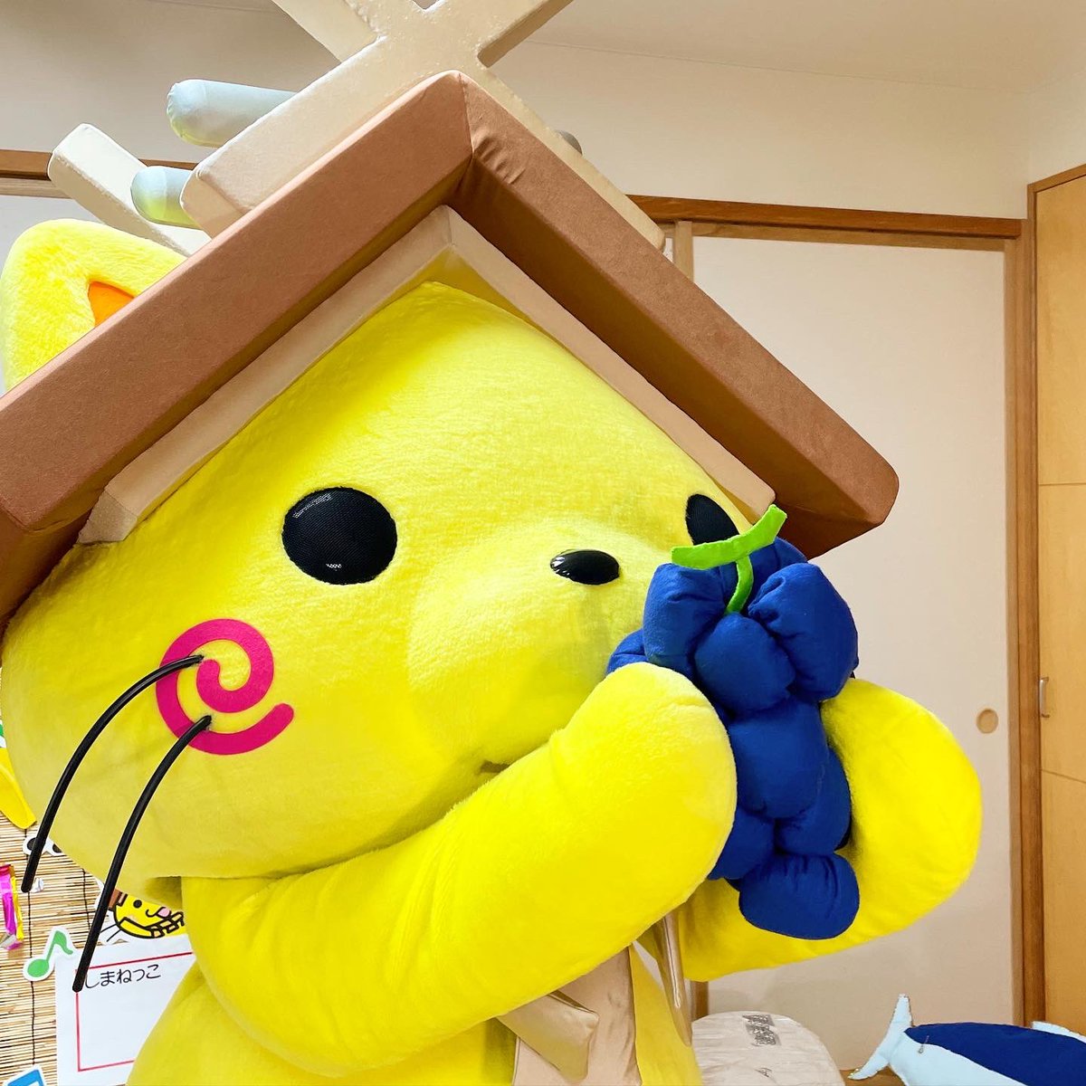 しまねっこ 公式 Shimanekko Twitter