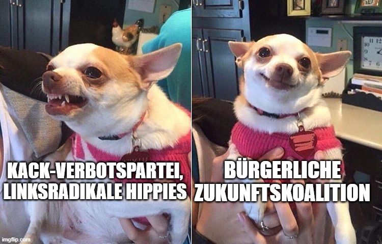 Union über die Grünen vor und nach der Wahl