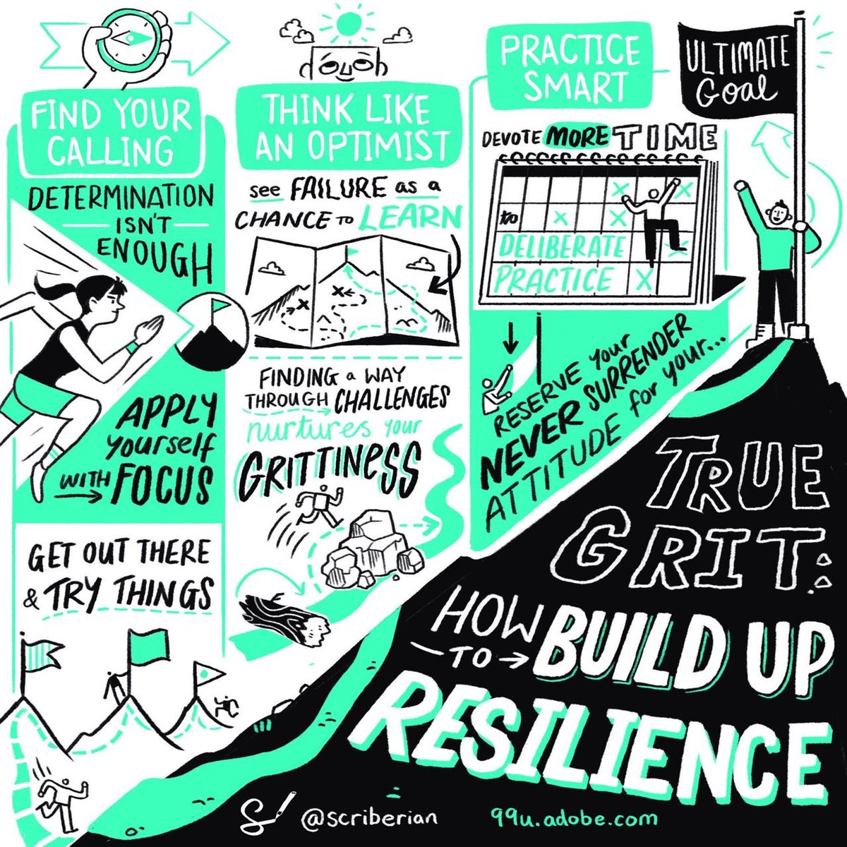 LhcShona's tweet photo. I like the term "true grit" for this. A novel spin on what could also be referred to as some of the traits of leadership and success. https://t.co/nLsdRPDXeM