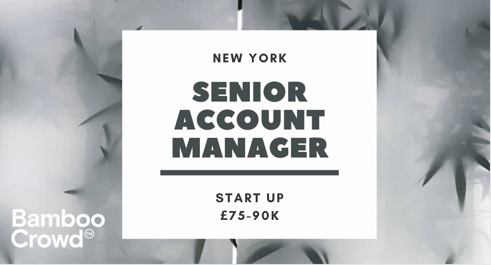 ACCOUNT MANAGER/ SENIOR ACCOUNT MANAGER - Start Up- New York -  Fantastic opportunity to lead digital media campaigns with a disruptive media agency. Need an excellent communicator with expert knowledge in concepting, strategy, development, and delivery buff.ly/3e13kYB