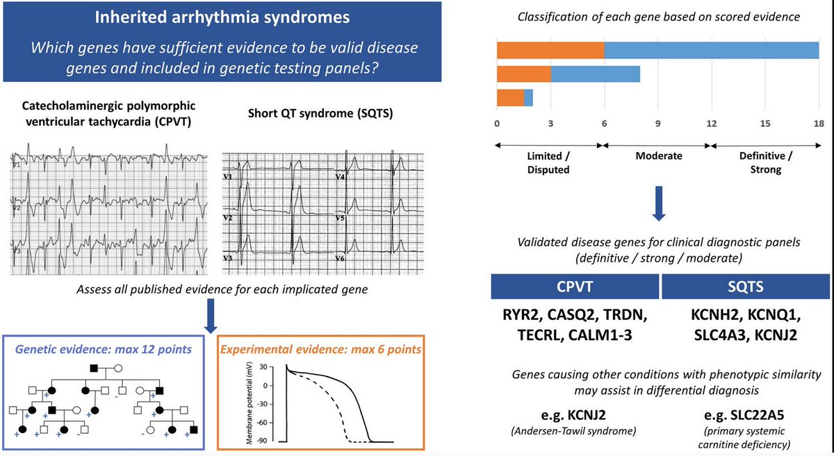 Re-evaluation of gene-disease associations identifies 7 valid genes for CPVT and 4 valid genes for SQTS that should be included on genetic testing panels - now online at EHJ <a href="/ESC_Journals/">European Society of Cardiology Journals</a> doi.org/10.1093/eurhea… #cardiogen
