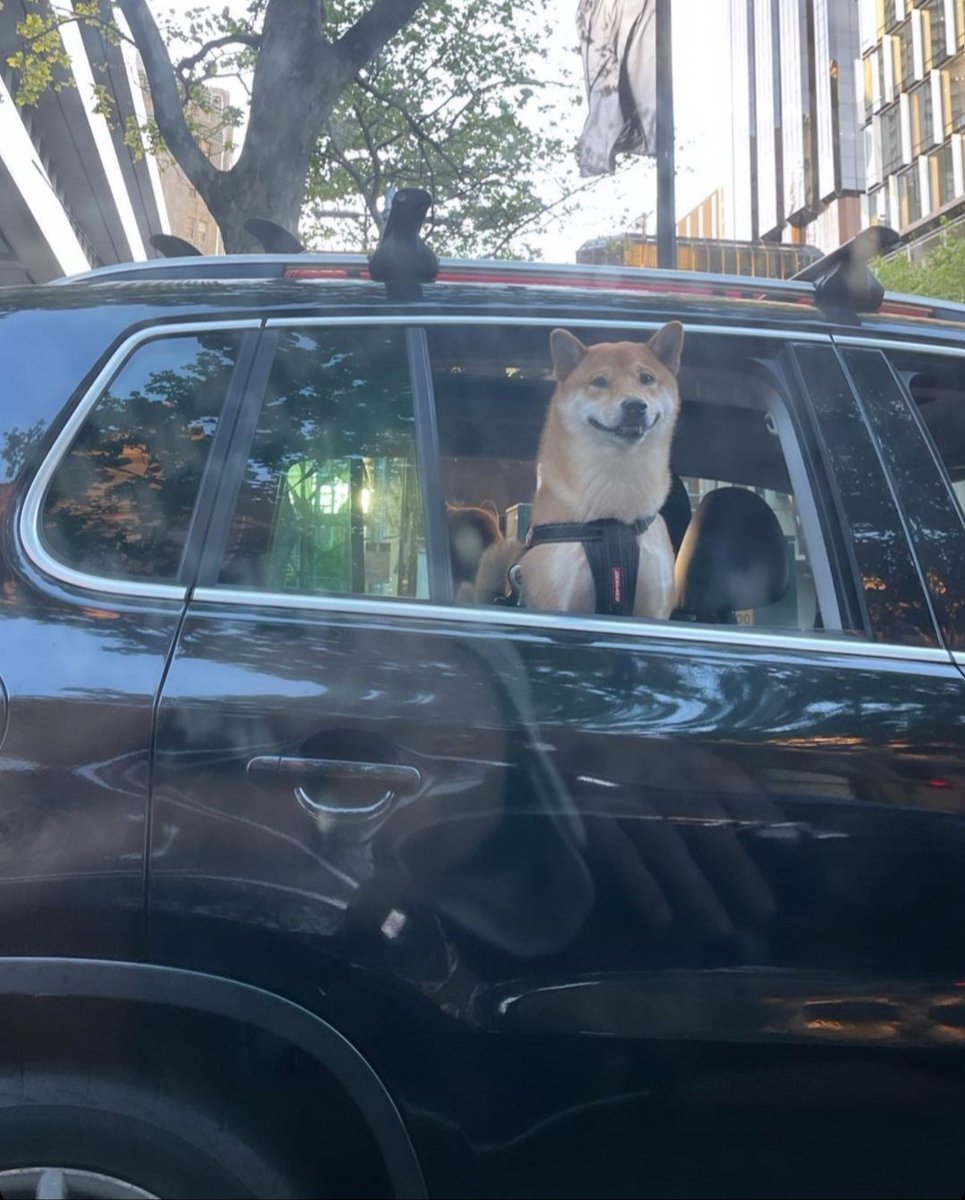 N1zt0k N3ph3ts tweet media