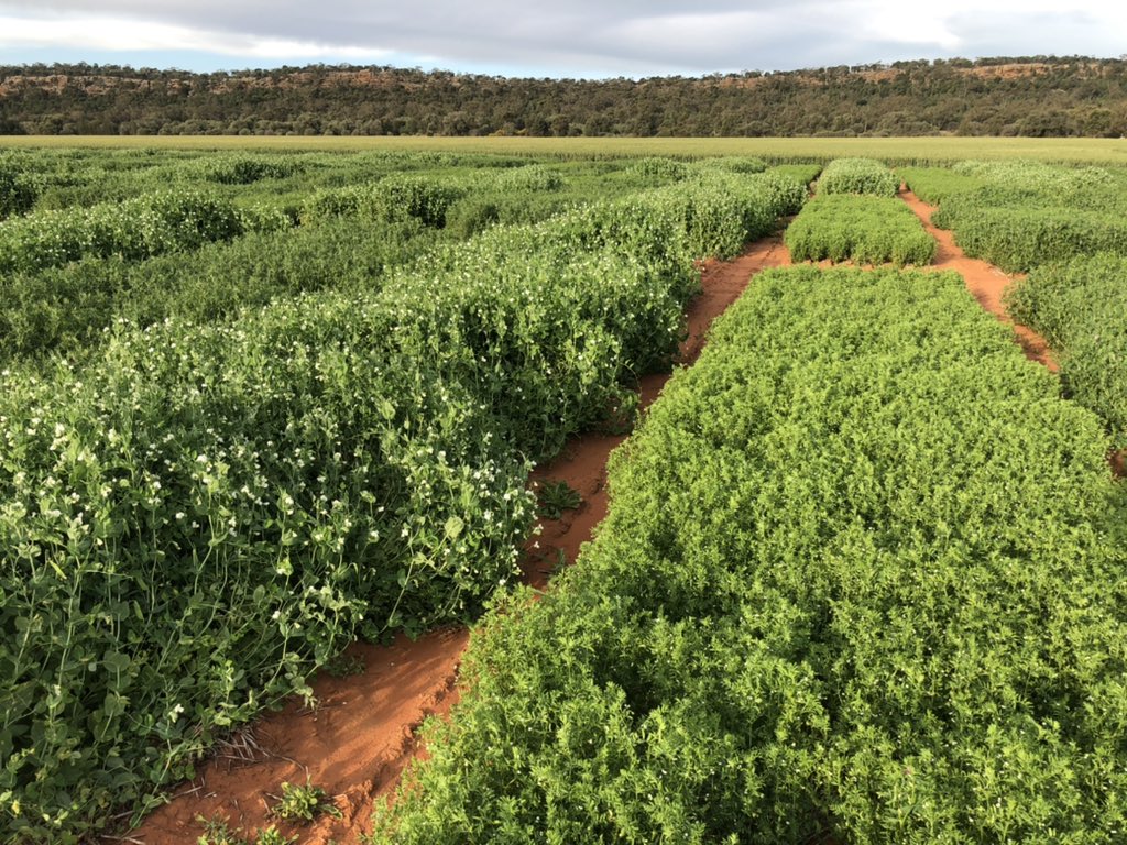 Barry Haskins tweet media