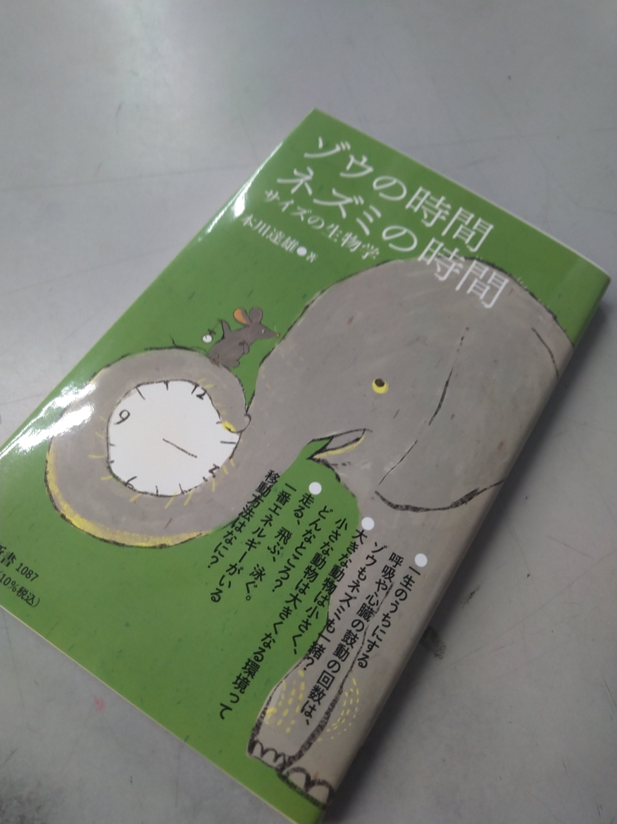大垣書店 京都ファミリー店 Kyofami Ogaki Twitter 大垣書店 京都ファミリー店 Kyofami Ogaki Twitter