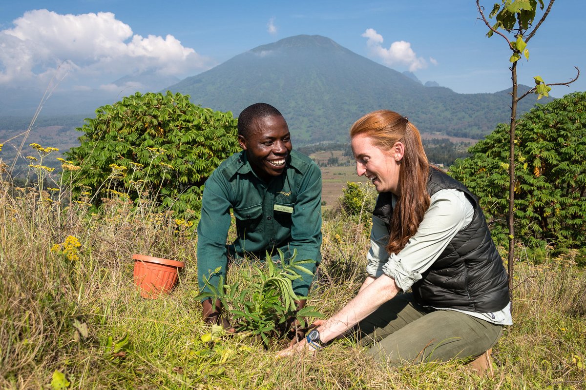 Visit Rwanda (@visitrwanda_now) on Twitter photo Happy #WorldTourismDay!
We are pleased to work with partners in conservation and the private sector who prioritise inclusive green growth that enables Rwandans to benefit from tourism.
📸 <a href="/WeAreWilderness/">Wilderness</a>
#VisitRwanda 🇷🇼 Happy #WorldTourismDay!
We are pleased to work with partners in conservation and the private sector who prioritise inclusive green growth that enables Rwandans to benefit from tourism.
📸 <a href="/WeAreWilderness/">Wilderness</a>
#VisitRwanda 🇷🇼