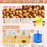 子供が拾ってきたどんぐりに虫が!？遊ぶ前の下処理まとめ!