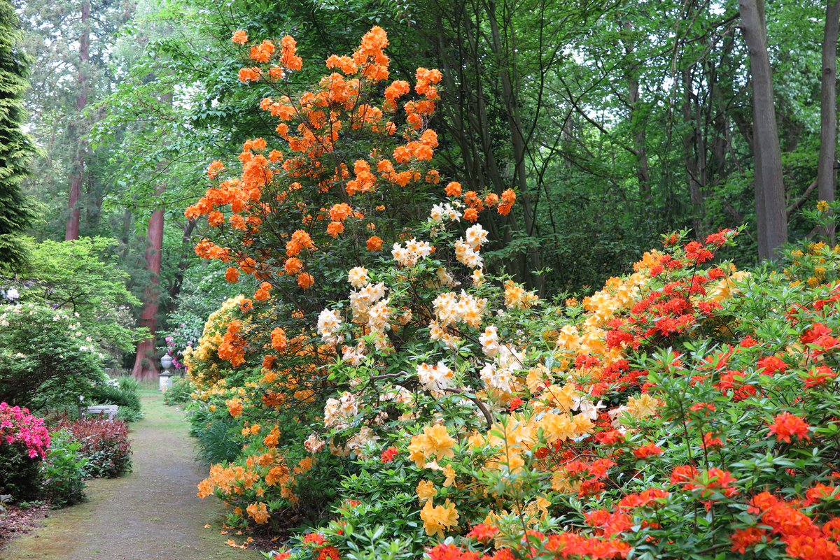 dodplacegdns's tweet photo. Just a few days left to cast your vote in the @Historic_Houses Garden of the Year Award.  We are one of 8 shortlisted gardens.  If you want to vote for us? go to https://t.co/V7AbRIVyYp https://t.co/tok5hiAVIc