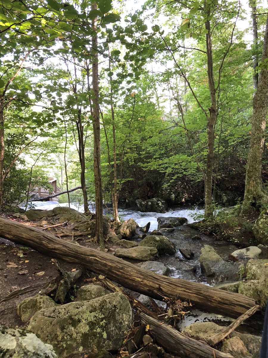 brr_yeet_ddaeng's tweet photo. We were #Namjooning this weekend…half way up the mountain I see @BTS_twt 😁🥰🤪 #CrabtreeFalls https://t.co/XiV5EPMjo4