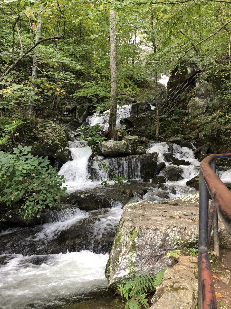 brr_yeet_ddaeng's tweet photo. We were #Namjooning this weekend…half way up the mountain I see @BTS_twt 😁🥰🤪 #CrabtreeFalls https://t.co/XiV5EPMjo4