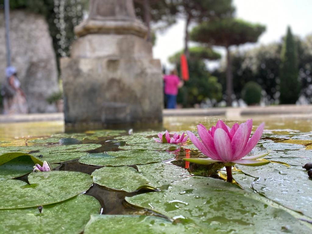 Happy faces and great shared moments during the New Student Orientation visit to Castel Gandolfo! #JFRC students had the opportunity to visit the Apostolic Palace and the estate's picturesque gardens.