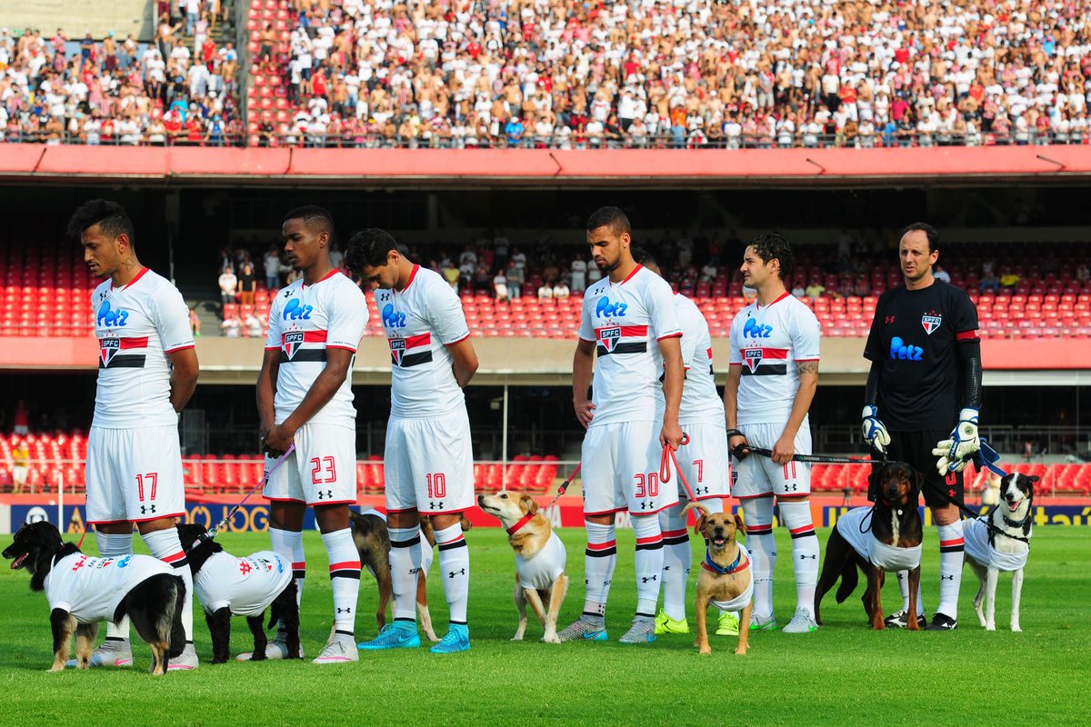 SaoPauloFC's tweet photo. 🐶 Há seis anos, o São Paulo promoveu uma ação de adoção e cuidados com cães, com apoio de ONGs da causa animal. 

O time entrou em campo com muitos doguinhos, que fizeram a festa no Morumbi. 😍 https://t.co/62Pm5vIw15