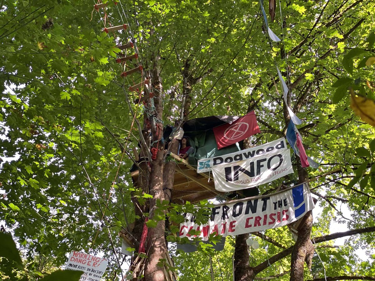 PPSTMX1's tweet photo. Save this treehouse, stop this pipeline, prevent climate chaos.

We've made it this far, we need to make it through this week, we need more reinforcements. Can you help? Here are ways you can get involved:

#StopTMX #ClimateAction #ClimateEmergency https://t.co/xdP877UldQ