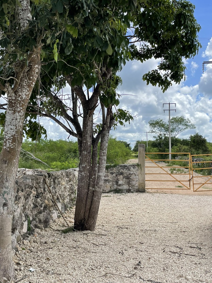 Genny_Jimenez's tweet photo. Porto Chabihau, una excelente opción para Invertir, contáctame https://t.co/3w5nh0Lu5h