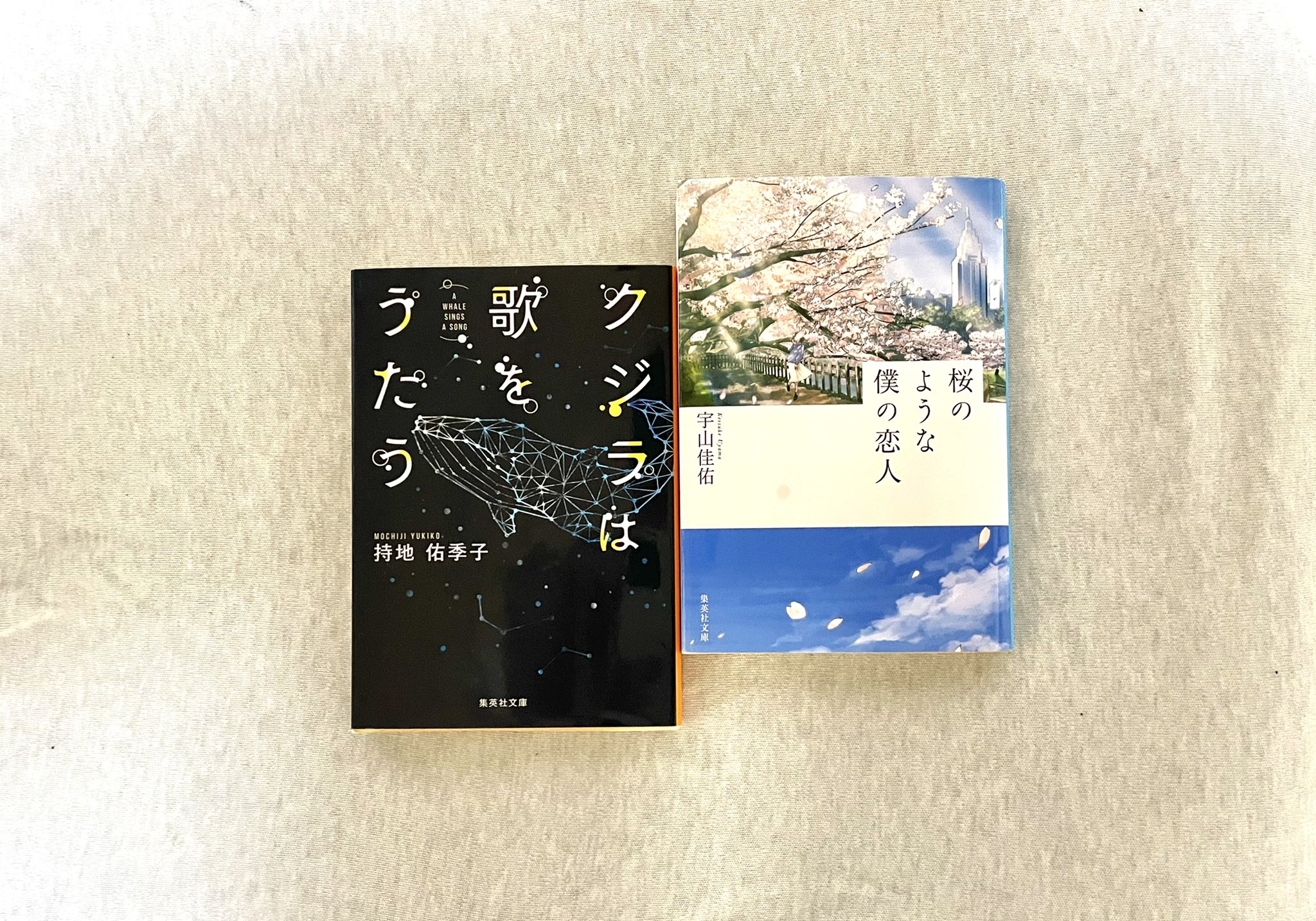 Tweets With Replies By 持地佑季子 七月七日のペトリコール 発売中 Jichimo Twitter