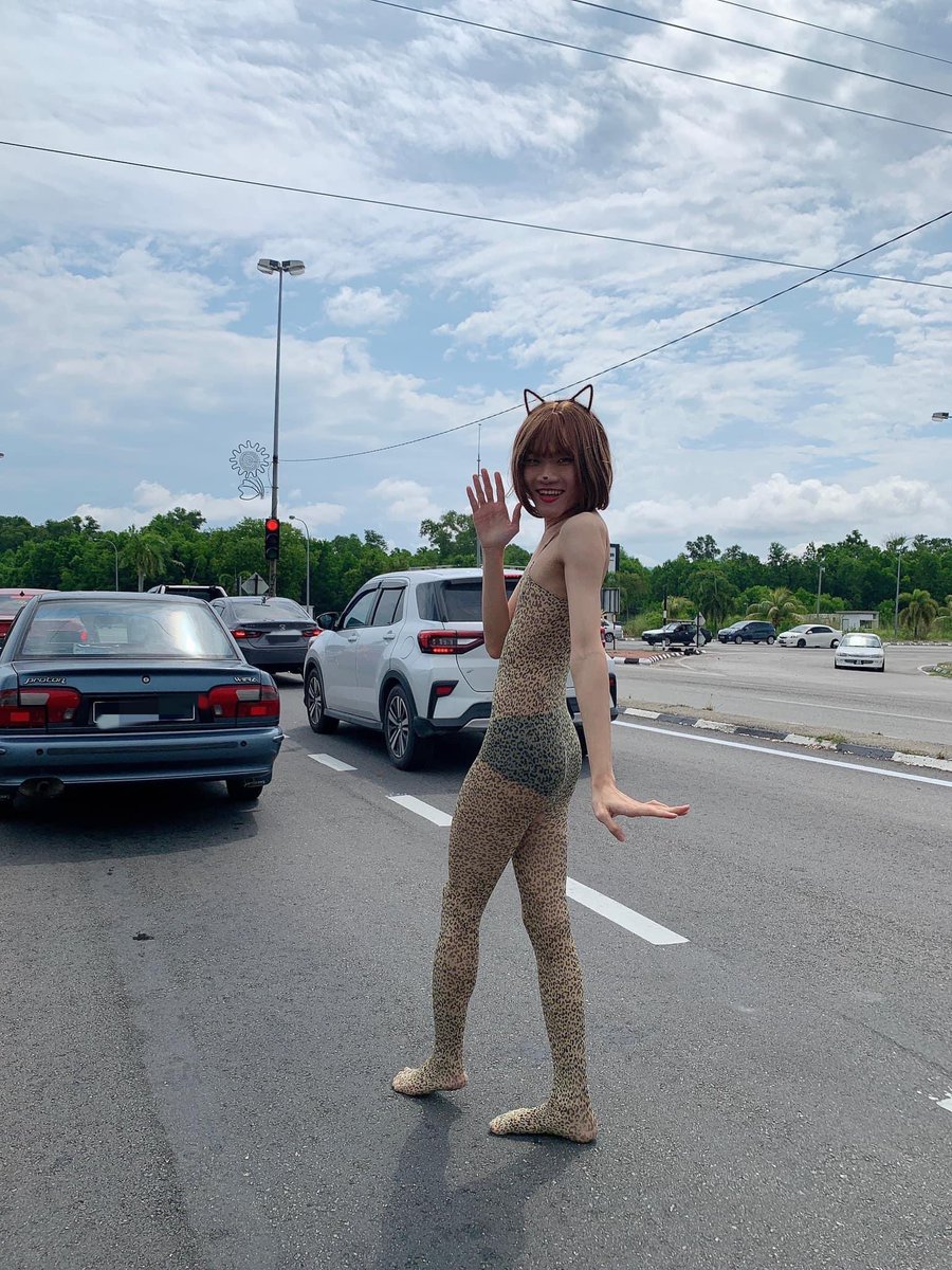 aslandelrey's tweet photo. Hello, siapa kehilangan kucing kat Manjung? sila kutip, thank you. https://t.co/m4yt9HCmHp