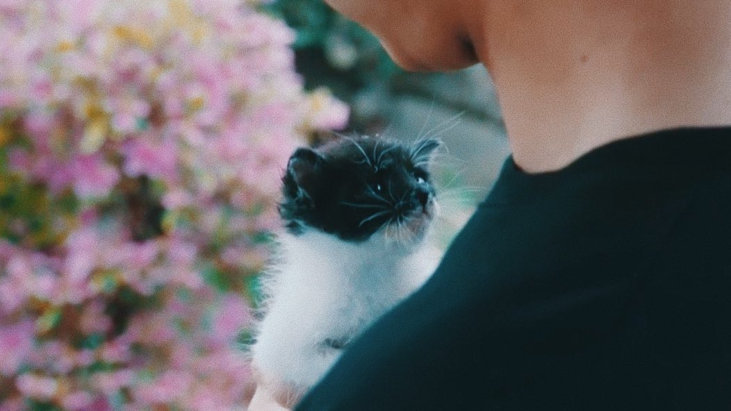 adrysuki's tweet photo. Oh non 😭😭😭
Les pauvres bichons… oh mon dieu 😭😭
#MOUSE #MOUSEEP12 https://t.co/d2qTwpCBtr