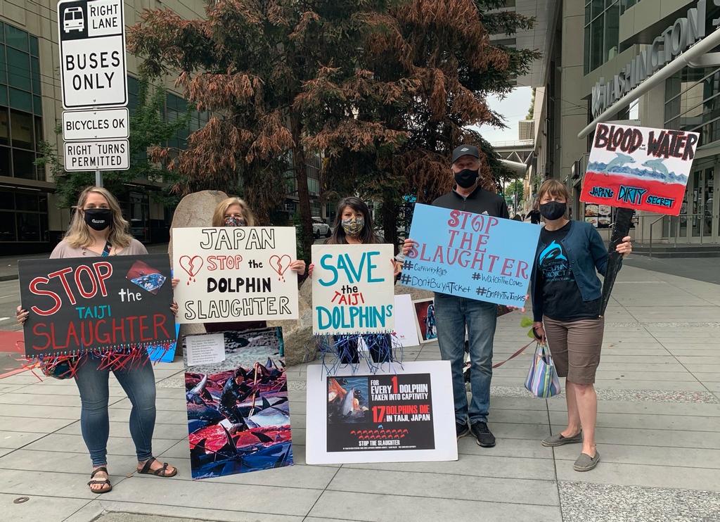 FinsandFluke's tweet photo. Dolphin_Project: Thank you so much to everyone that has participated in #DolphinDefenderMonth! There is still time to get involved and join the virtual race- go to https://t.co/tKMNt67RgO ๐ฌ #DolphinProject https://t.co/mAArlgkIUc