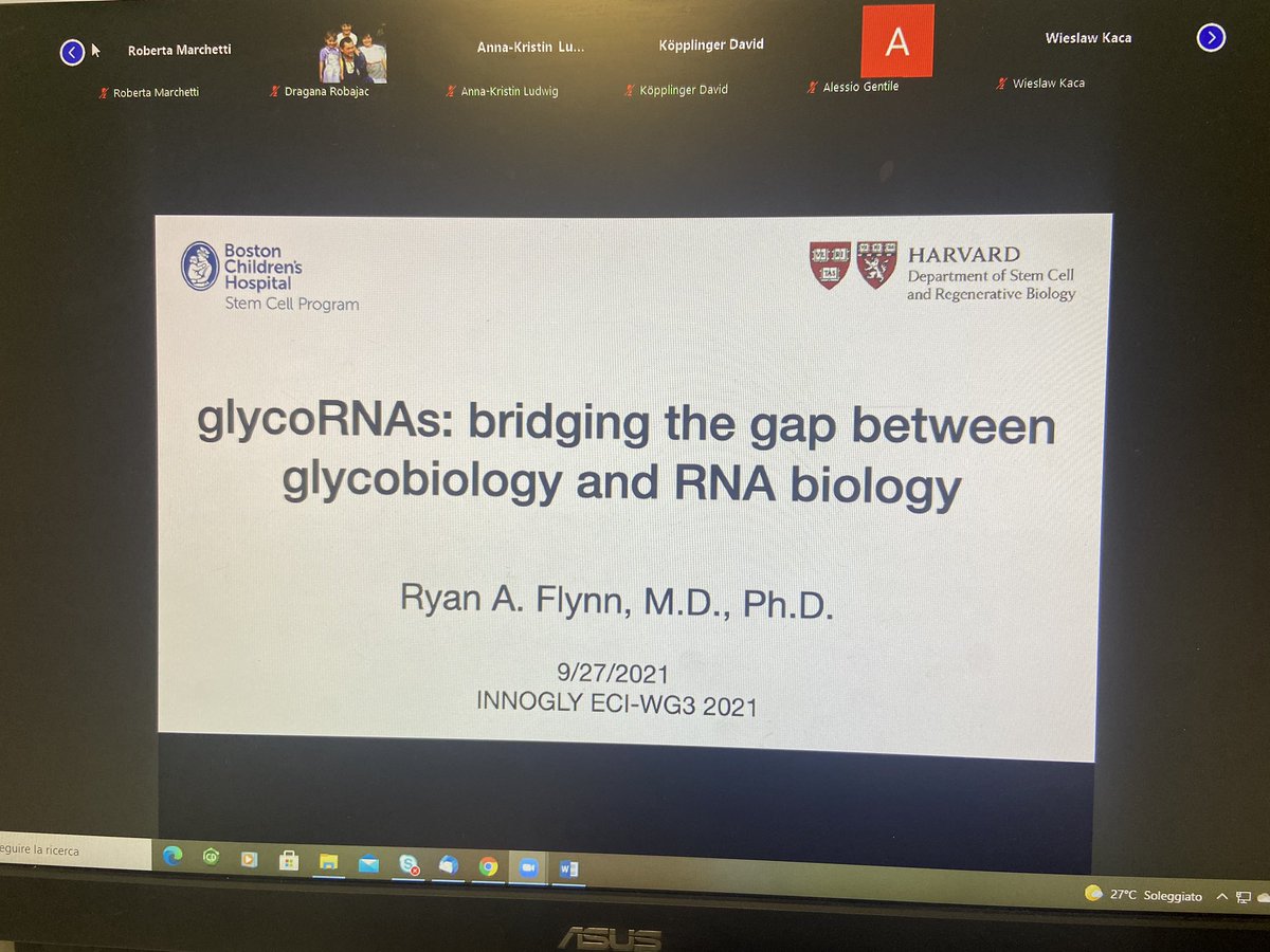 @raflynn5 on stage of INNOGLY-ECI-WG3 symposium. An outstanding overview on how when you believe on your idea you can, hardly working, finally reach your ambitious goal. The story of glycoRNA! @InnoglyA super #glycotime