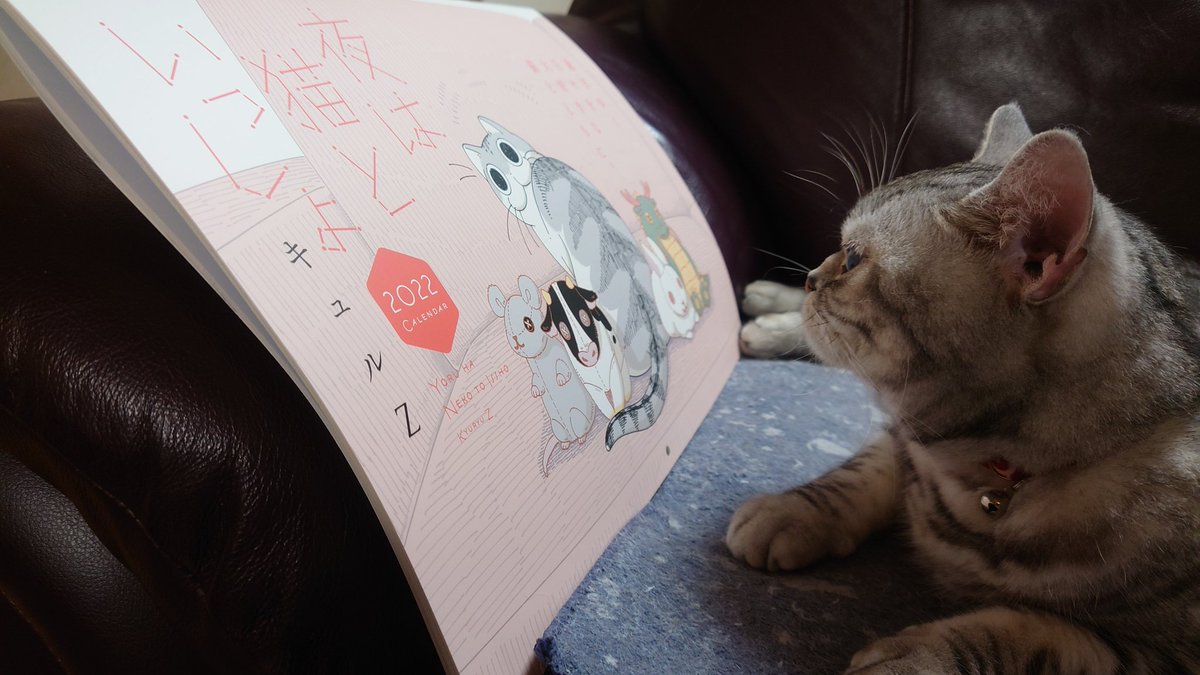 matsu703's tweet photo. @kyuryuZ 我が家のニャン��も歓迎してます🐾 https://t.co/bgTTj3DGxx