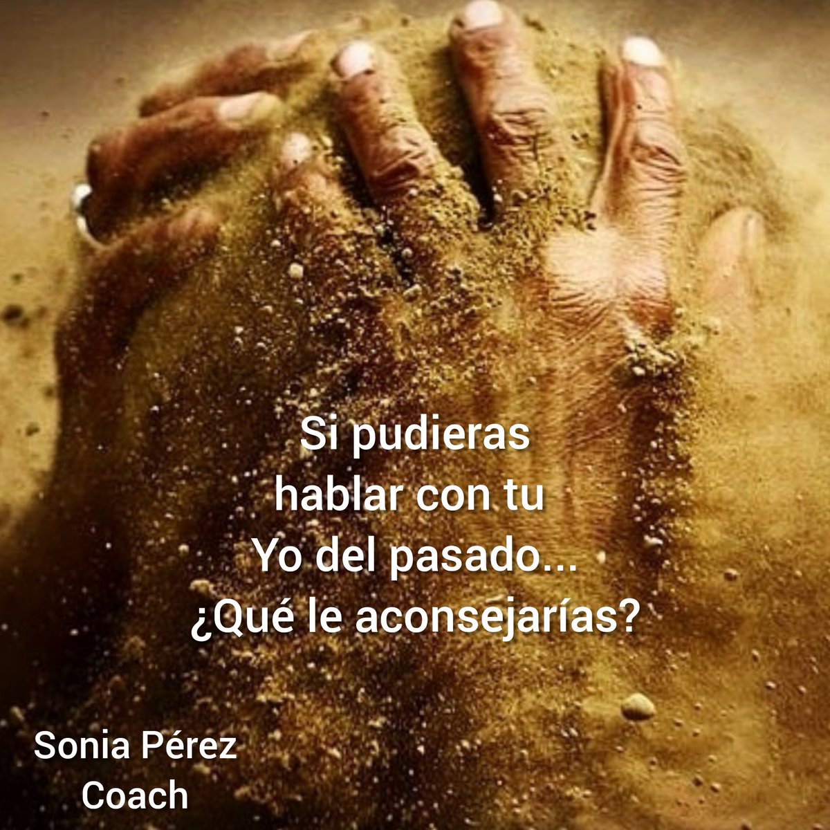 todocoach tweet picture