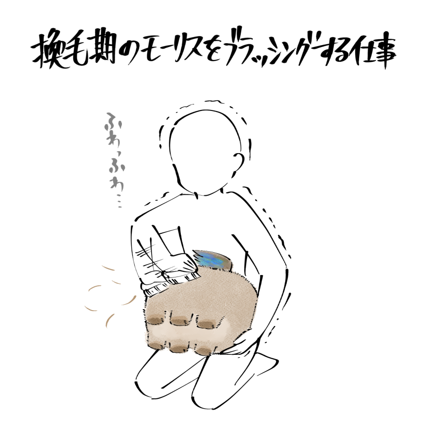 モーリス・・・ 