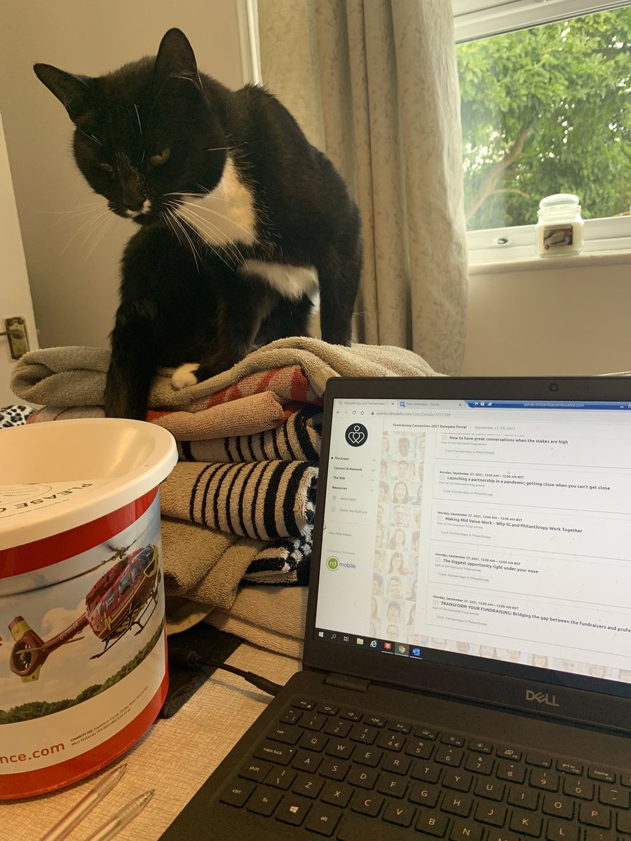 NicoleBeebee1's tweet photo. Excuse the washing pile π #WFH #pawsinconvention @CIOFtweets https://t.co/Udu29RrkTH