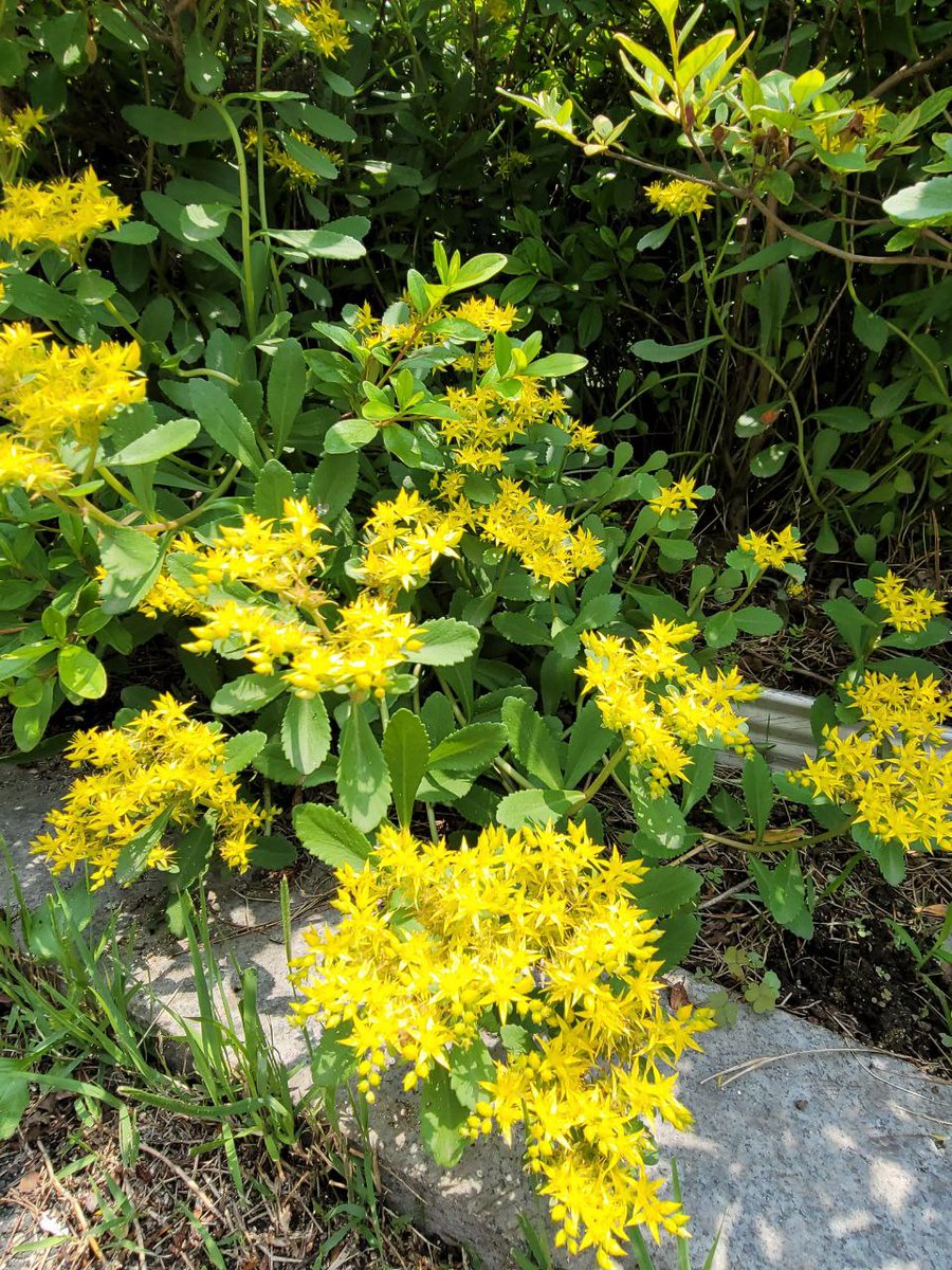 White (@eoskan44444) on Twitter photo 