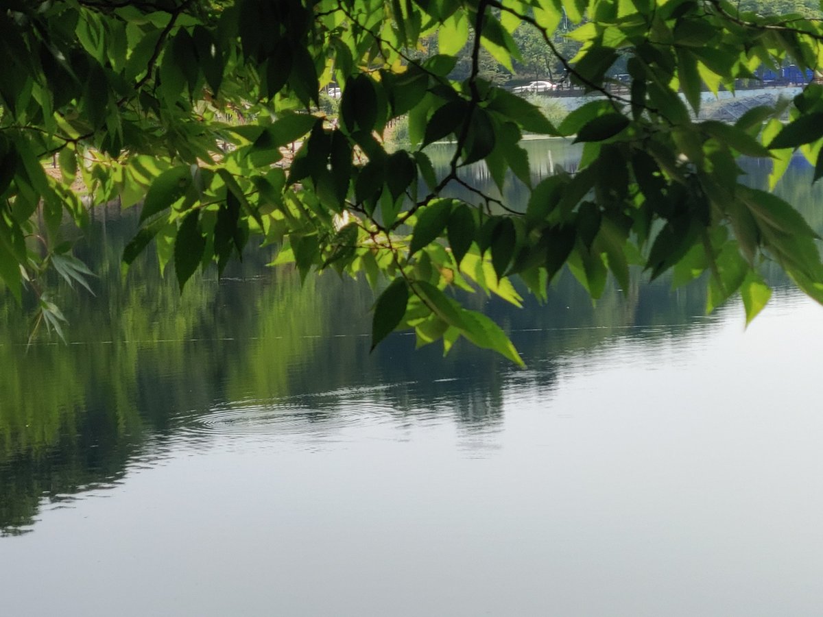 White (@eoskan44444) on Twitter photo 