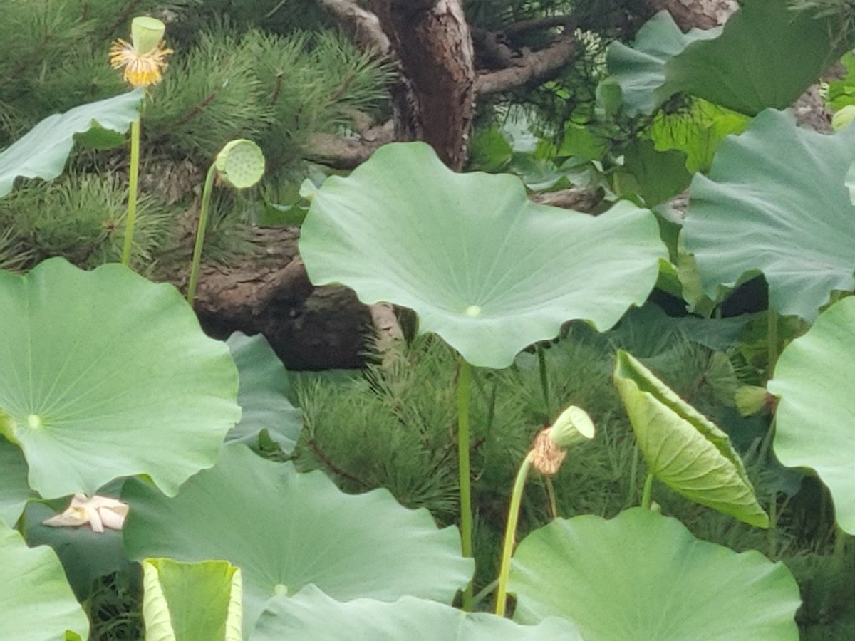 White (@eoskan44444) on Twitter photo 