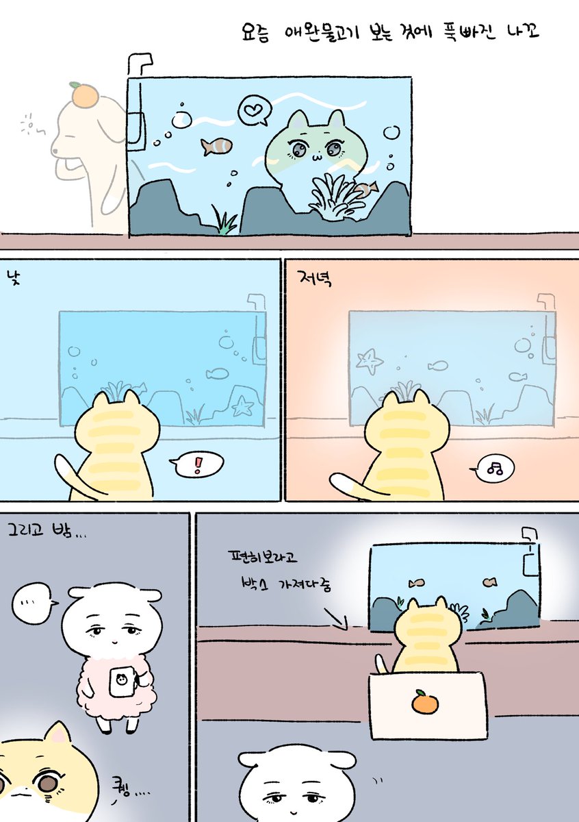 fromimal_9's tweet photo. 물고기에 푹 빠진 나꼬🐱 https://t.co/x8rdNRfjRj